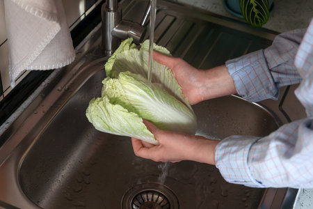 Woman washing fresh Chinese cabbage in sink, closeupの写真素材