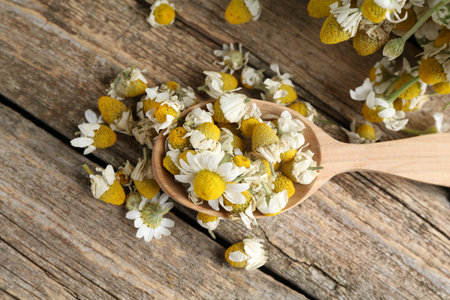 Dry and fresh chamomile flowers in spoon on wooden table, top viewの写真素材