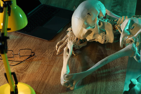 Waiting concept. Human skeleton sleeping at wooden table with laptopの写真素材