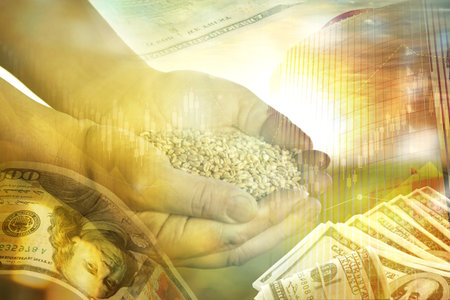 Global grain crisis. Farmer with wheat seeds, dollar bills, office building and graph, multiple...