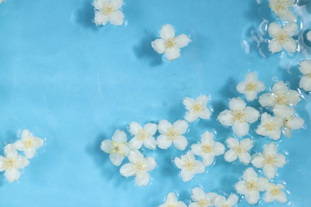 Beautiful jasmine flowers in water on light blue background, top view