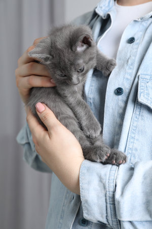 Woman with cute fluffy kitten indoors, closeupの写真素材