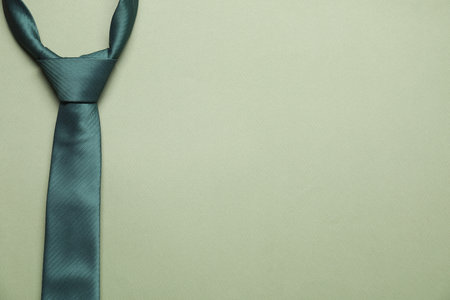 Stylish necktie on light green background, top view. Space for text