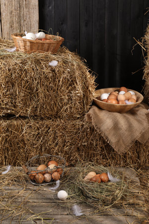 Fresh chicken eggs and dried straw bales in henhouseの写真素材