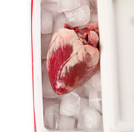 Heart with ice in fridge on white background, top viewの写真素材