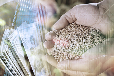 Global grain crisis. Farmer with wheat seeds, dollar bills, office building and graph, multiple exposureの写真素材