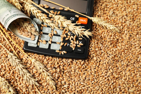 Dollar banknote, calculator and wheat ears on grains, closeup. Agricultural businessの写真素材