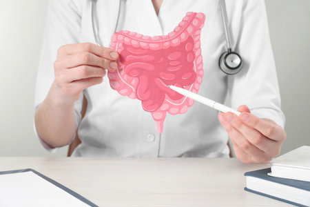 Doctor showing paper intestine cutout at wooden table, closeupの写真素材