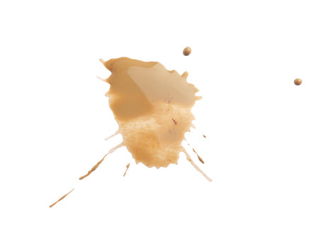 Dried coffee stain isolated on white, top viewの写真素材