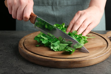 Woman cutting fresh coriander at grey textured table, closeupの写真素材