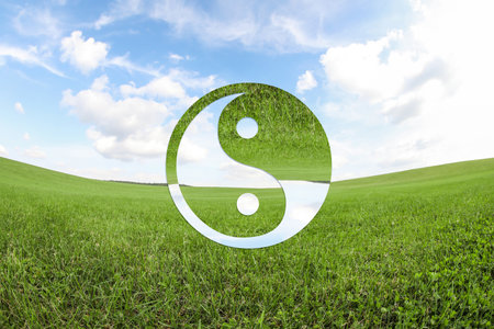 Yin-yang symbol and green meadow under beautiful skyの写真素材