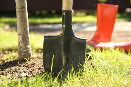 One shovel sticking out of ground on sunny day. Gardening seasonの写真素材