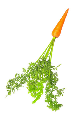 Tasty ripe juicy carrot isolated on white, top viewの写真素材