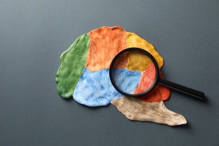 Amnesia problem. Brain with sections and magnifying glass on grey background, top viewの写真素材