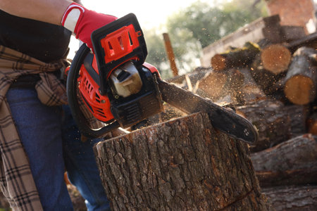 Man sawing wooden log outdoors, closeup view