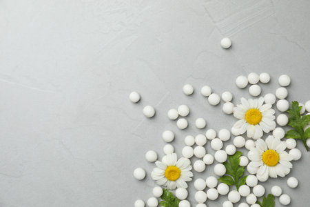 Homeopathic remedy. Chamomile flowers, pills and green leaves on gray table, flat lay. Space for textの写真素材
