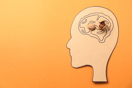 Amnesia problem. Paper cutout of human head, brain drawing and broken walnut on orange background,...