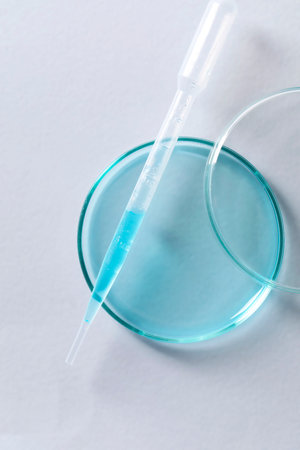 Transfer pipette and petri dish on white background, top viewの写真素材