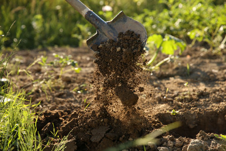 Digging soil with shovel on sunny day, closeupの写真素材