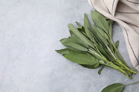 Fresh sage leaves on gray table, top view. Space for textの写真素材