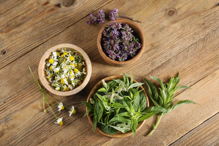 Different healing herbs in bowls on wooden table, flat layの写真素材