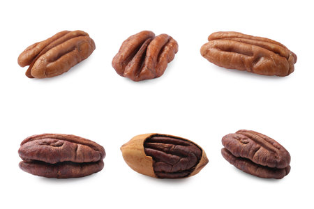 Many pecan nuts isolated on white, setの写真素材