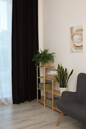Shelving unit, sofa, green houseplants and elegant curtain in room. Interior designの写真素材