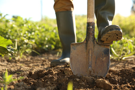 Farmer digging soil with shovel on sunny day, closeup. Space for textの写真素材