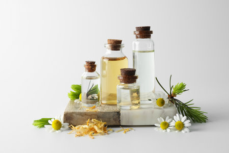 Aromatherapy. Different essential oils, dry flowers, chamomiles and fir twigs on white backgroundの写真素材