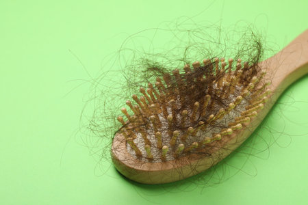 One brush with lost hair on light green background, closeup. Alopecia problemの写真素材