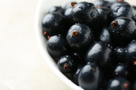 Ripe black currents in bowl on light table, closeupの写真素材