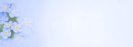 Beautiful forget-me-not flowers on light blue background, space for text. Banner designの写真素材