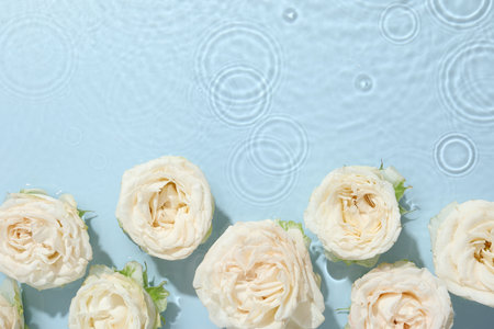 Beautiful rose flowers in water on light blue background, top view. Space for textの写真素材