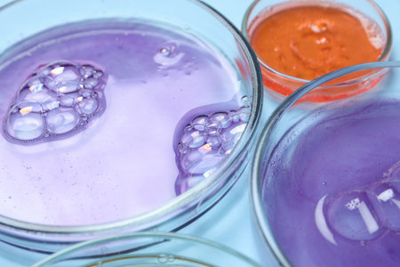 Petri dishes with samples on light blue backgroundの写真素材