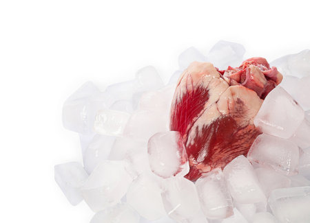 Heart with ice cubes on white backgroundの写真素材