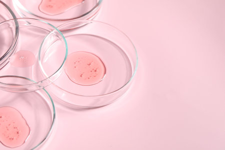 Petri dishes with samples on pink background, closeup. Space for textの写真素材
