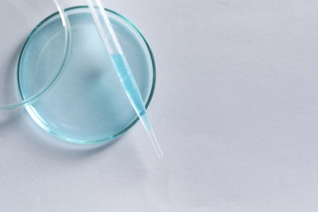 Transfer pipette and petri dish on white background, top view. Space for textの写真素材