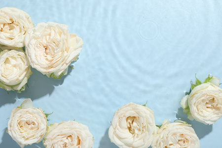 Beautiful rose flowers in water on light blue background, top view. Space for textの写真素材