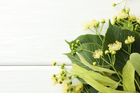 Fresh linden leaves and flowers in bag on white wooden table, top view. Space for textの写真素材