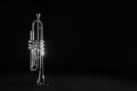 Shiny trumpet on black background, space for text. Wind musical instrumentの写真素材