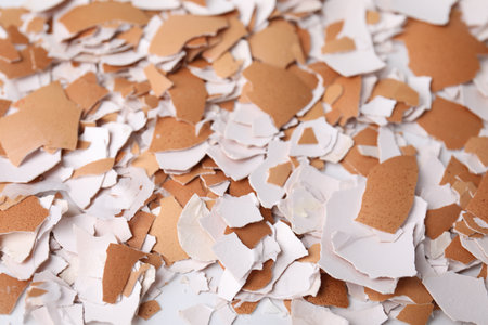 Pieces of broken eggshells as background, closeup