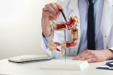 Doctor showing model of large intestine at white wooden table indoors, selective focusの写真素材