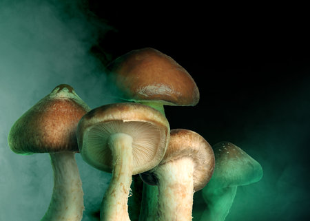 Hallucinogenic mushrooms on black background with smokeの写真素材