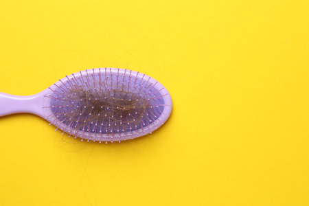 One brush with lost hair on yellow background, top view. Space for textの写真素材