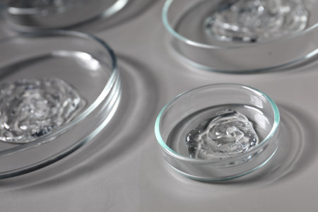 Petri dishes with samples on gray background, closeupの写真素材