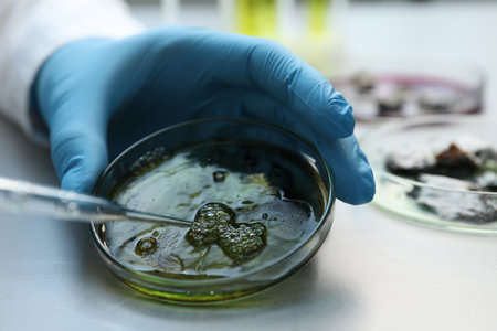 Laboratory worker dripping sample from pipette into petri dish at light table, closeup
