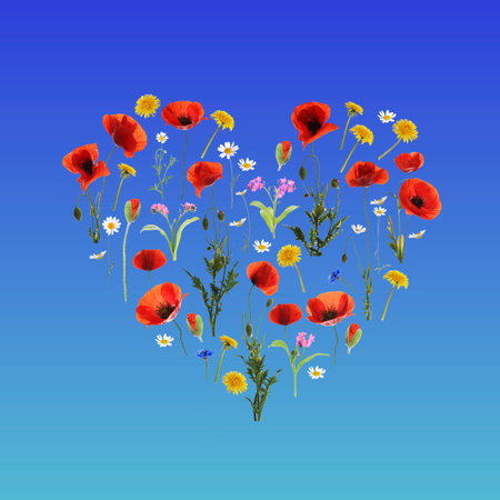 Heart made of meadow flowers on blue gradient backgroundの写真素材