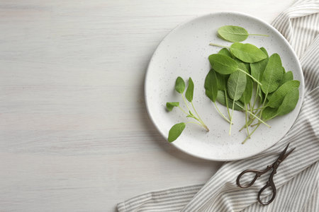 Fresh sage leaves and scissors on light wooden table, flat lay. Space for textの写真素材
