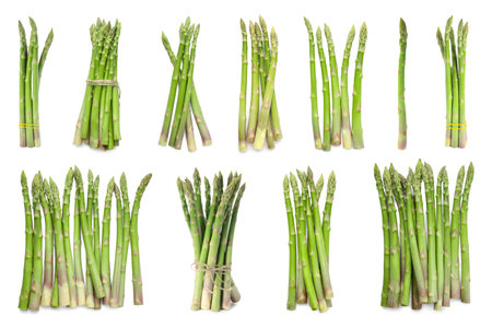 Set of fresh asparagus spears on white background, top viewの写真素材