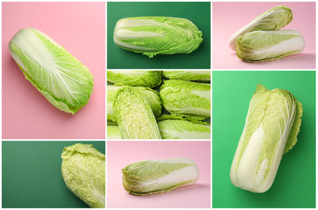 Fresh Chinese cabbage on different colors backgrounds, collageの写真素材